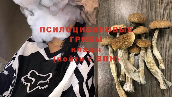 герыч Белокуриха