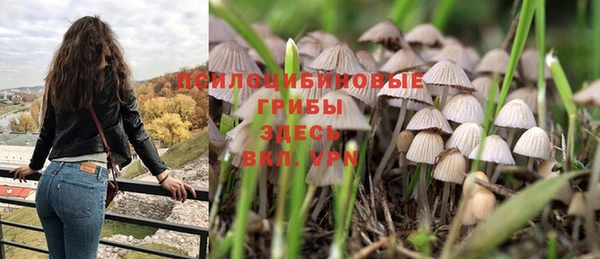 винт Беломорск